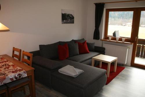 Haus Schindler