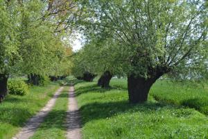 Haus Simone