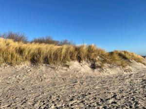 Haus Uthlande Uthlande Whg 4