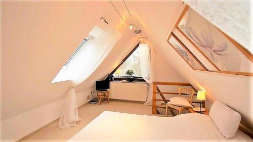 Haus Wexler 3 - OG