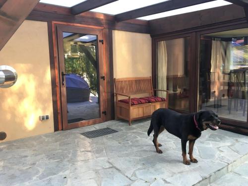Häuschen direkt am See mit privater Sauna und Boot