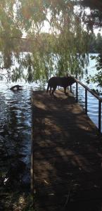 Häuschen direkt am See mit privater Sauna und Boot