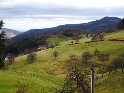 hébergement du chêne