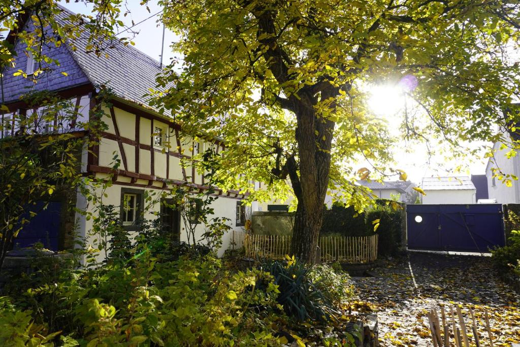 Hedwigs Hexenhäuschen 21 Kretzer Straße, 56642 Kruft