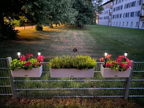 Helles Appartement mit Terrasse