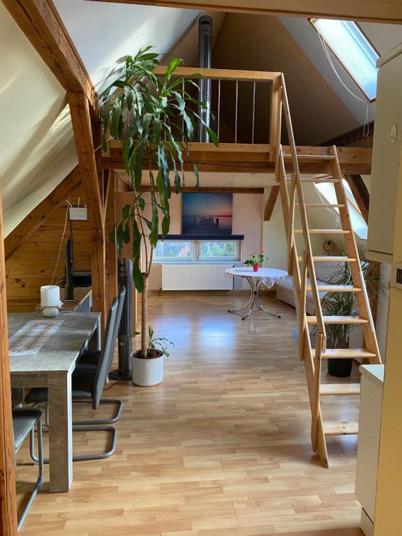 Helles und charmantes Loft mit herrlichem Blick 20 Kohlgraben, 01187 Dresde