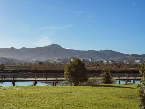 Appartement Hendaye, 2 pièces, 4 personnes - FR-1-2-414 Hendaye france