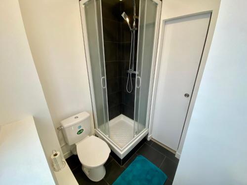 Henry II - petit appartement lumineux
