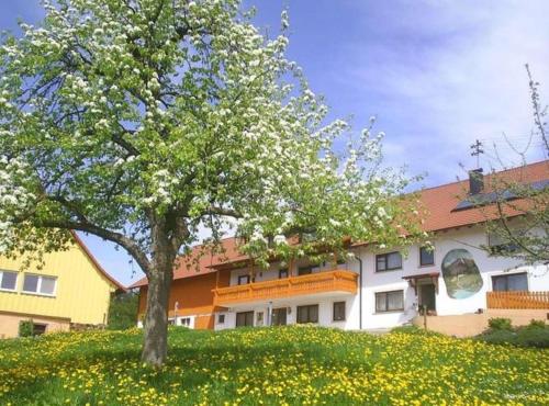 Hermannshöhe Fewo 6