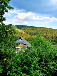 Appartement Herzstück 1 Theodor-Hein-Straße Ne. 27  / EG 38644 Hahnenklee Basse-Saxe