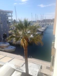 Appartement hippocampe f2 1 place des galoubets résidence bleu marine1 batiment A2 appartement 301 83600 Fréjus Provence-Alpes-Côte d\'Azur