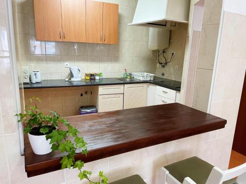 Historic Centre: Casa Protea - Studio Apartment