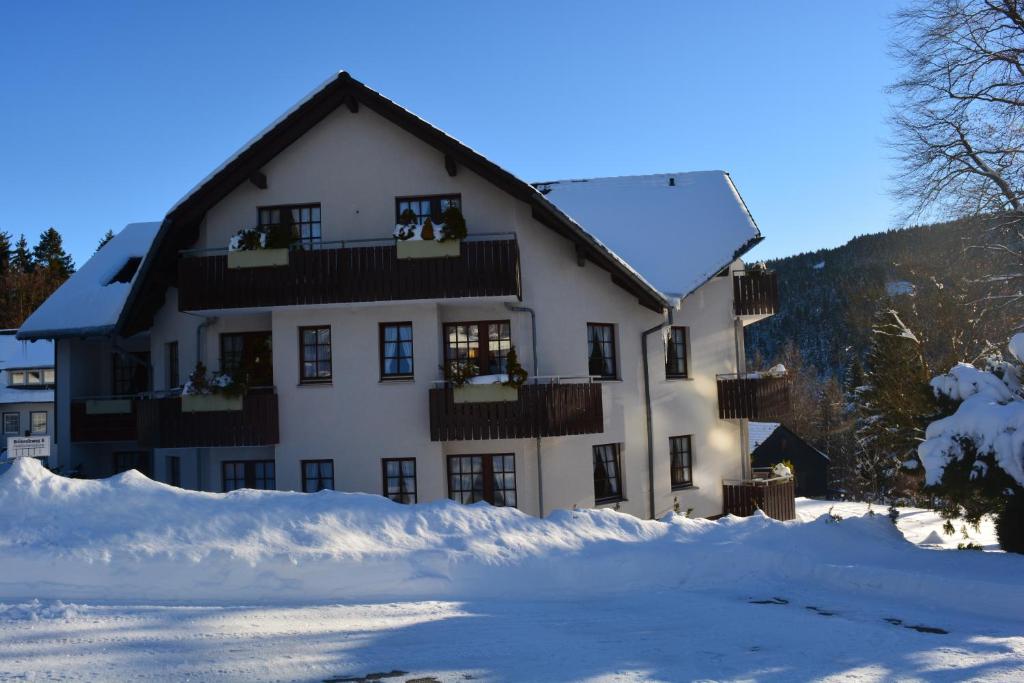 Hoffmann's Apartment in der Residenz Bocksbergblick Brünneleweg 8, 38644 Hahnenklee