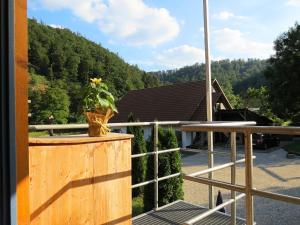 Appartement Holiday farm situated next to the Kellerwald Edersee national park with a sunbathing lawn  34537 Bad Wildungen Hesse