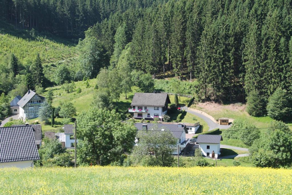 Holiday Home Rehsiepen Winterseite 8, 57392 Schmallenberg