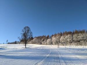 Holzspan