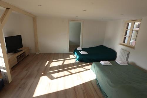 homday cultivateur 3
