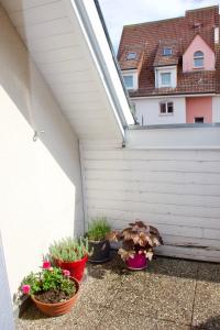 Home-sweet-home