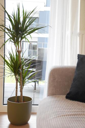 Home4you - Apartment Wellbeing