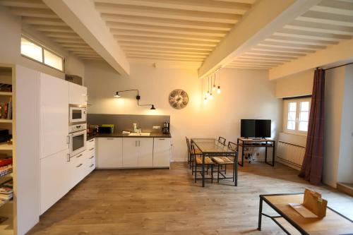 HomeBuddy' - La Terrasse Carnot, in Annecy downtown