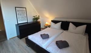 HOMELY STAY in a MODERN GREEN DREAM