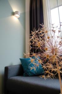 HOMELY STAY Studio 9