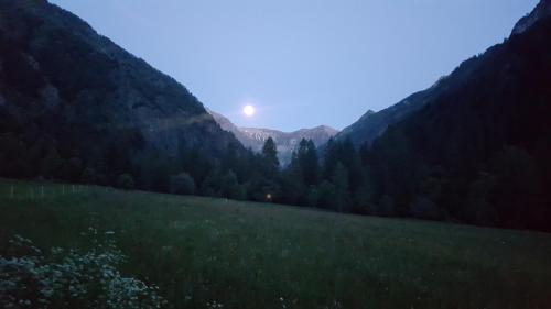 Honey Moon
