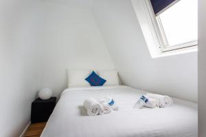 HSH Studio Saint Germain