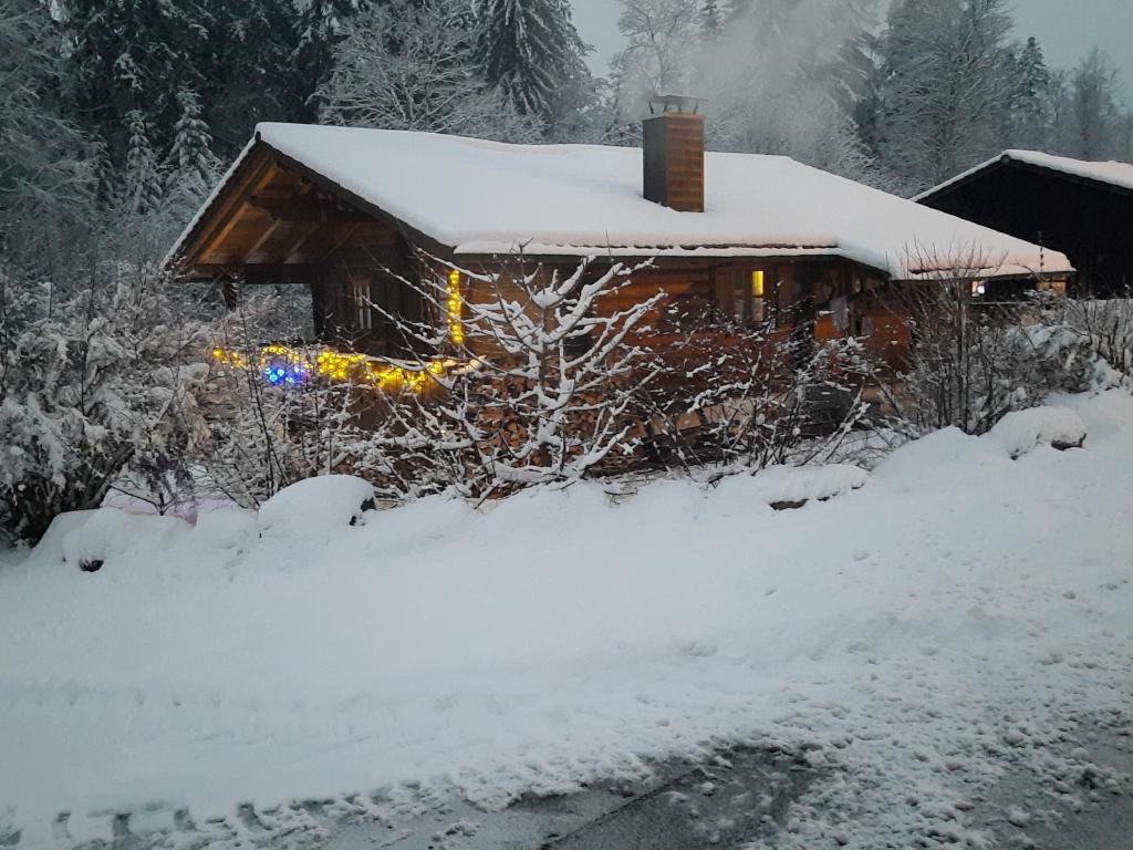 Hüttenzauber Ferienwohnung mitten im Nationalpark 45 Zwieslerwaldhaus, 94227 Lindberg