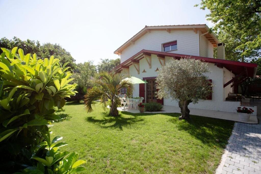 ID 7034 - Private Apartment 30159 Hanovre