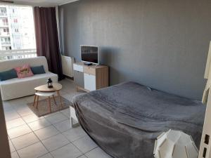 Appartement Ideal T1 BALCON 2 personnes 31 Rue des Docteurs Charcot 42000 Saint Etienne Rhône-Alpes