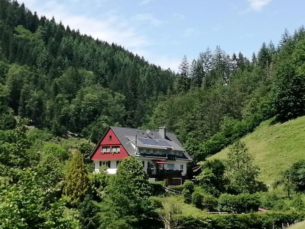 Appartement Idyllic holiday home in a mansion with garden in the beautiful Black Forest  77728 Oppenau