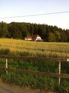 Idyllische Ferienwohnung miaMargot mit großer Terrasse, umrahmt von Wiesen, Feld und Wald