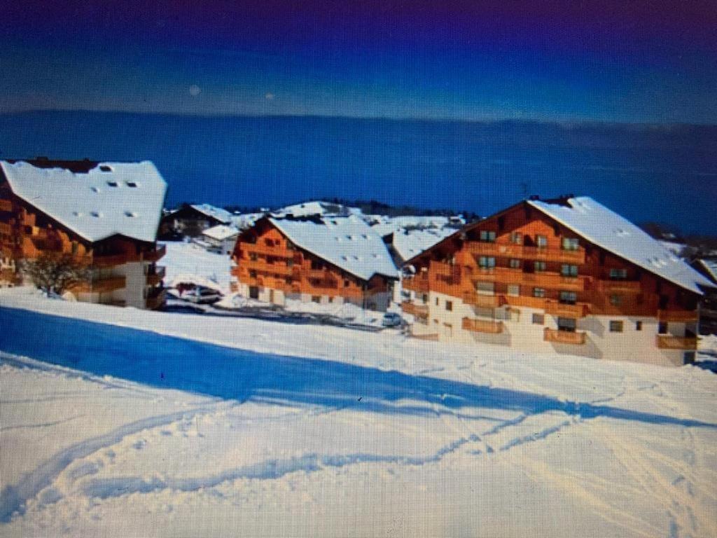 Appartement igloo ski in ski out 35/36 igloo 35/36 igloo 74500 Thollon-les-Mémises