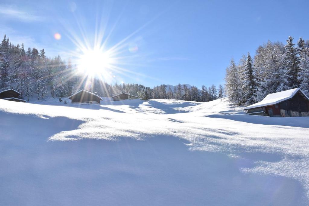 Immobilier De Montagne - La Collection - Le Petit Royaume