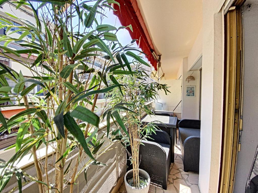 Appartement Imperial Croisette FER3417 studio Rouaze 15 06400 Cannes