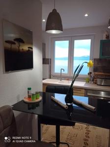 Appartement Ina's House - vue lac 31 Rue Nationale 74500 Saint-Gingolph Rhône-Alpes