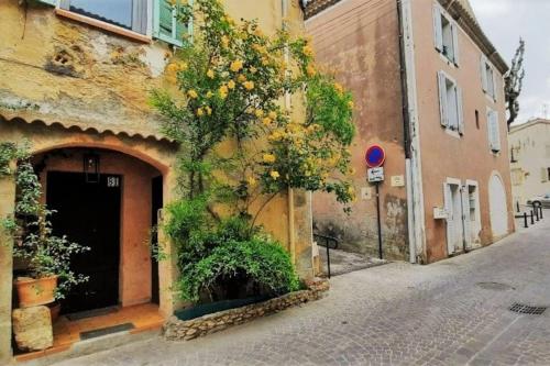 Appartement Appartement indépendant, Hyper-centre pittoresque 93 Rue Trez Castel Salon-de-Provence