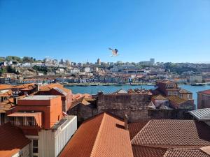 Infante Douro View