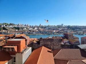 Appartement Infante Douro View Rua do Infante Dom Henrique 45 3° andar FR- L 4050-295 Porto Région Nord