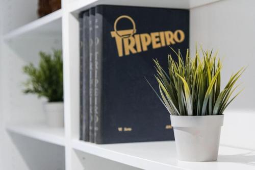 InLapa Studio V