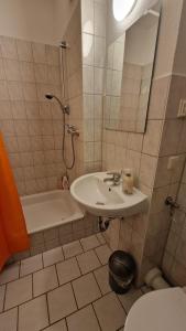 Innenstadt-Appartement