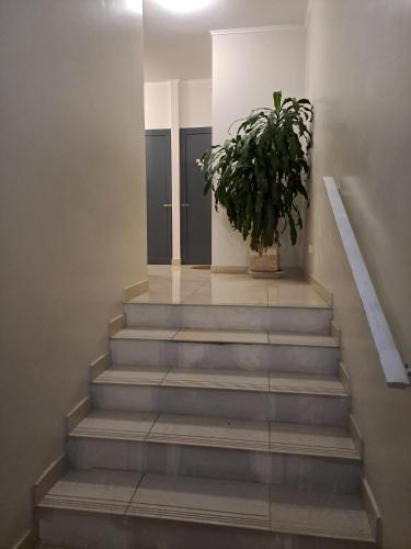 INOR Paim Apartment