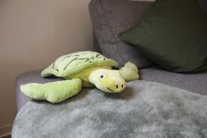InselReiter - Ferienwohnung WindReiter