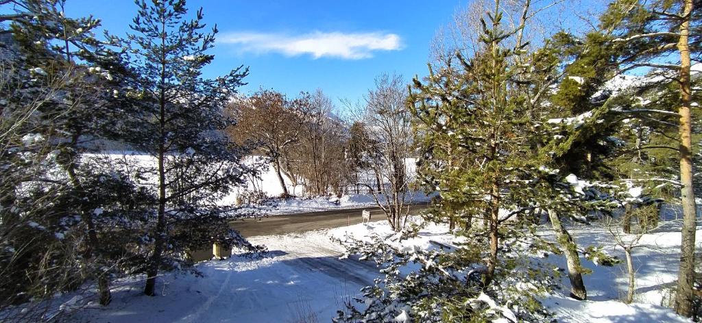 ISOLA Front de Neige - STUDIO