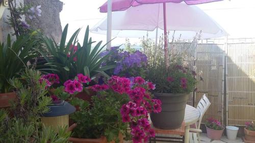 Iter professional stays/Verdon holidays/Wellness