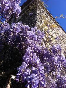 Iter professional stays/Verdon holidays/Wellness