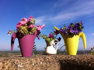 Iter professional stays/Verdon holidays/Wellness