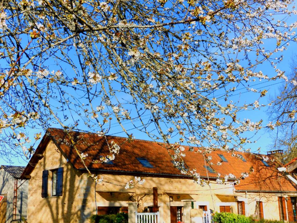 jacquada 95 chemin du Castel, le Ray , Cendrieux, 24380, Val de Louyre et Caudeau, 24380 Cendrieux