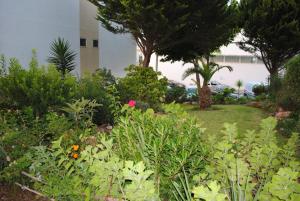 Appartement Jardim das Flores Passeio Campo de Flores João de Deus, 4 Rez-do-Chão - Esquerdo 8000-224 Faro Algarve